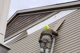 Best Custom Trim and Detailing for Siding  in Mcadenville, NC